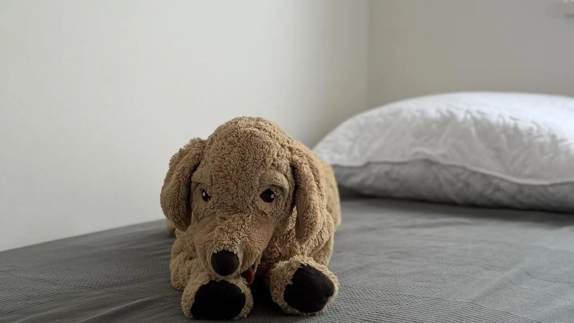 Apartman Jackie Novi Vinodolski Chorvatsko
